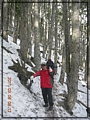 2011-03-08 08-12-24-黑森林踏雪行.JPG